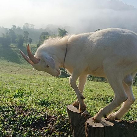 ไร่นิธิสุนทร Nithisoonthon Farmstay Mae Hong Son Luaran gambar