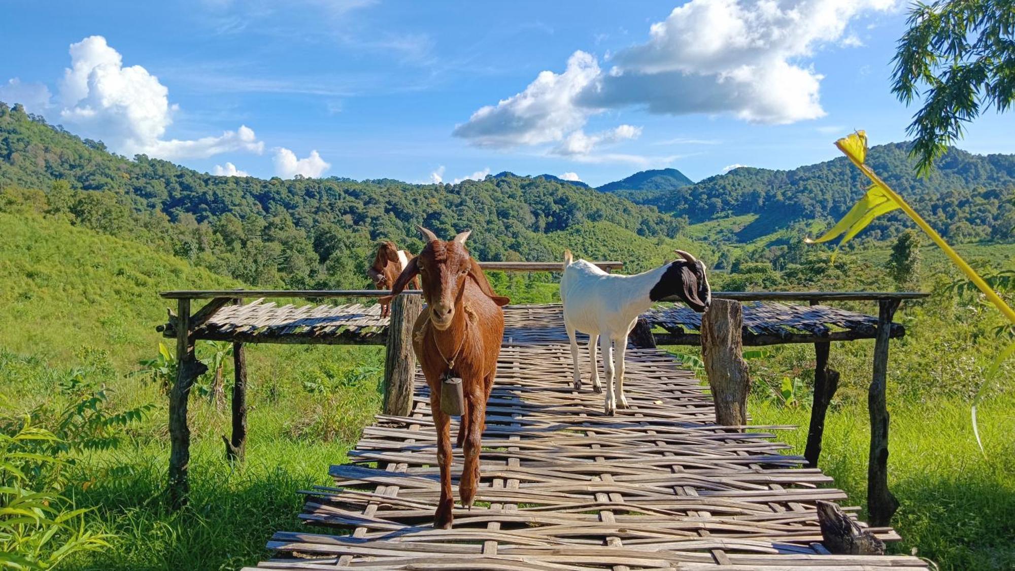 ไร่นิธิสุนทร Nithisoonthon Farmstay Mae Hong Son Luaran gambar