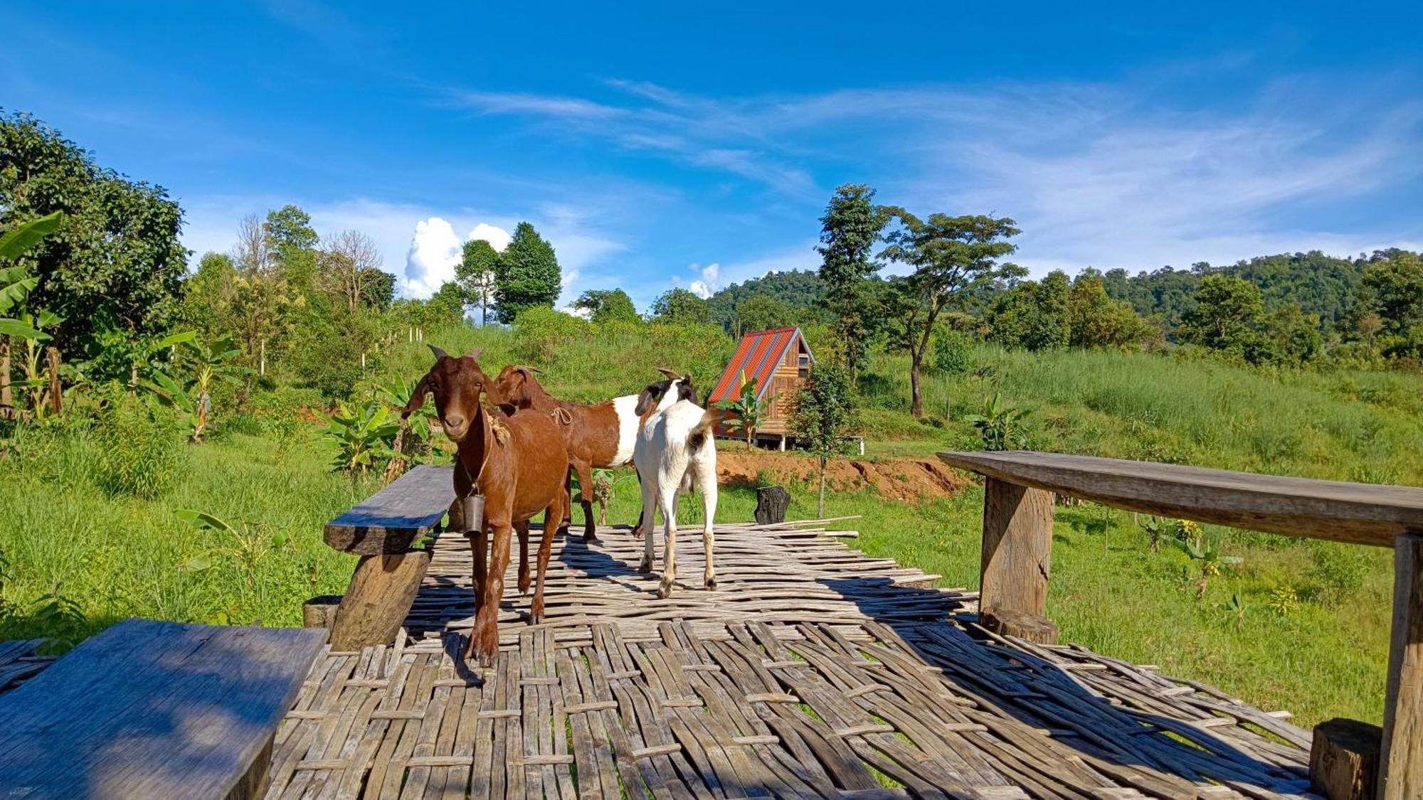 ไร่นิธิสุนทร Nithisoonthon Farmstay Mae Hong Son Luaran gambar