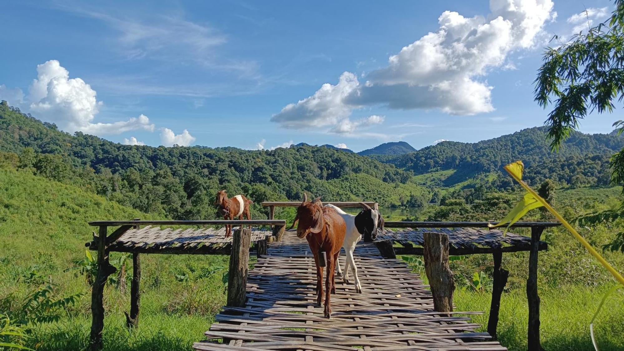 ไร่นิธิสุนทร Nithisoonthon Farmstay Mae Hong Son Luaran gambar