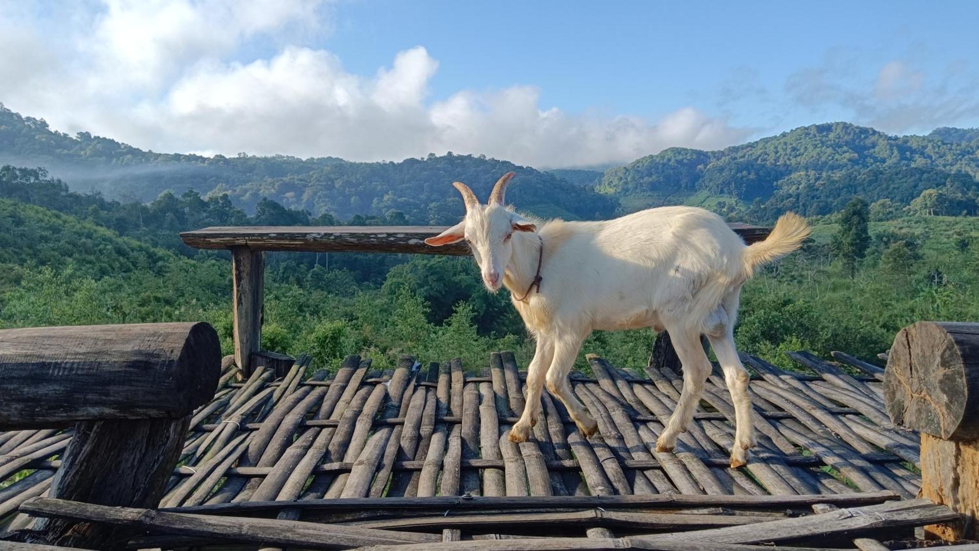 ไร่นิธิสุนทร Nithisoonthon Farmstay Mae Hong Son Luaran gambar