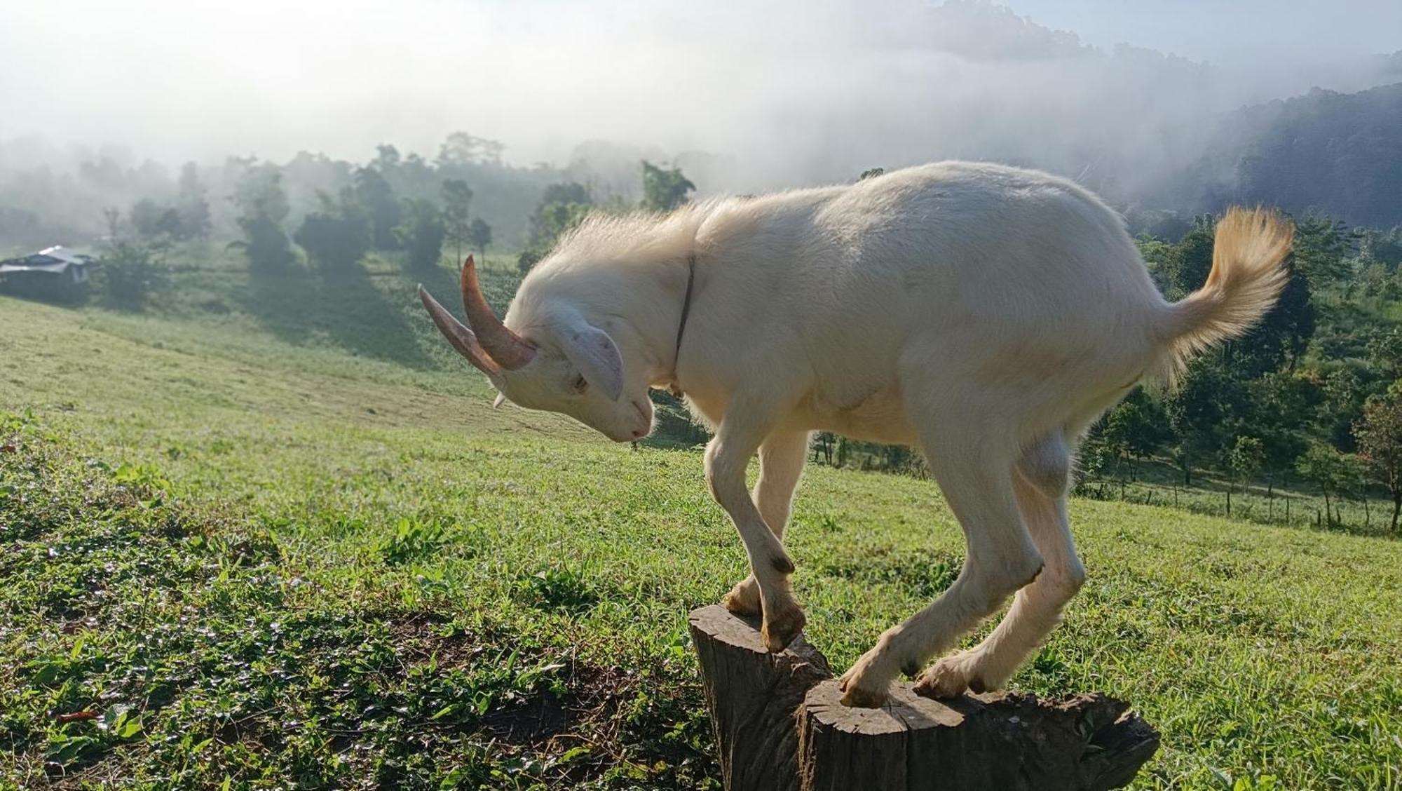 ไร่นิธิสุนทร Nithisoonthon Farmstay Mae Hong Son Luaran gambar