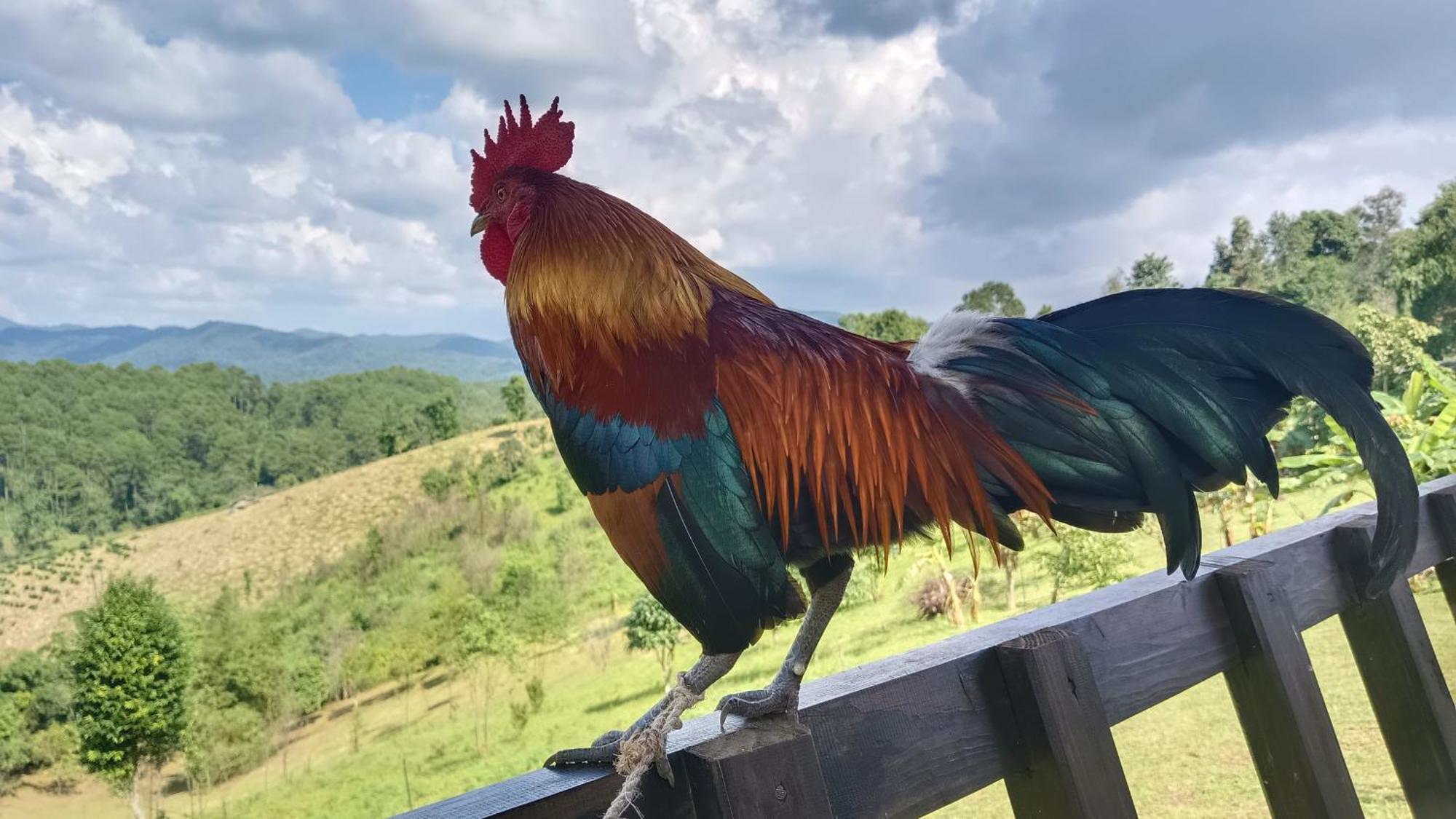 ไร่นิธิสุนทร Nithisoonthon Farmstay Mae Hong Son Luaran gambar