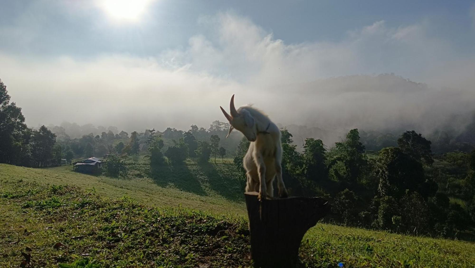 ไร่นิธิสุนทร Nithisoonthon Farmstay Mae Hong Son Luaran gambar