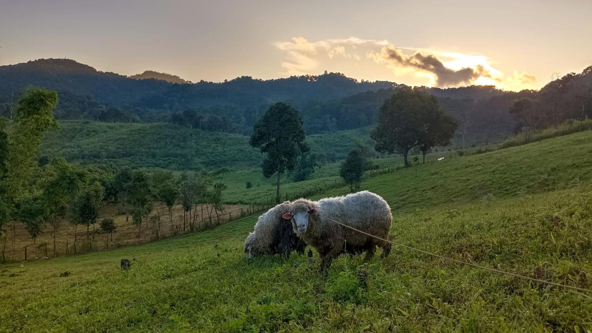 ไร่นิธิสุนทร Nithisoonthon Farmstay Mae Hong Son Luaran gambar